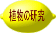 植物の研究 